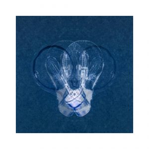 Lumen 4